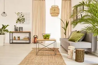 Kambarys su augalais ir sofa