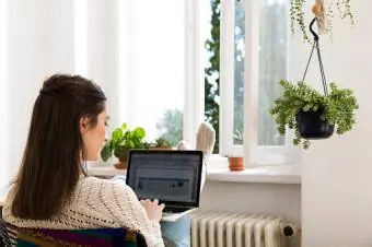 Plante suspendue dans la chambre