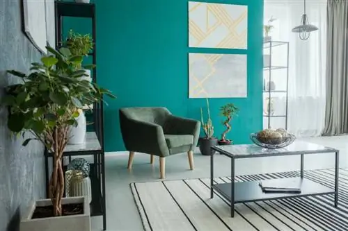 5 conseils clés pour utiliser les plantes d'intérieur en décoration d'intérieur