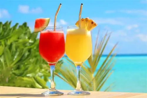 Kokteyl Severler için Basit Malibu Rum İçeceği Tarifleri