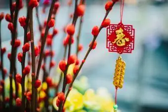 Оформление празднования китайского Нового года
