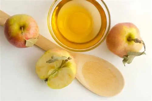 Napoje jabłkowe Crown Royal: 13 przepisów na gładkie dania
