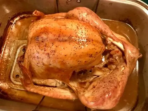 Paano Magluto ng Turkey sa Roaster