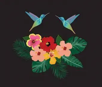 colibrí y flores