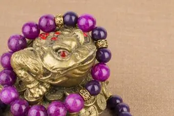 ếch tiền với vòng đeo tay