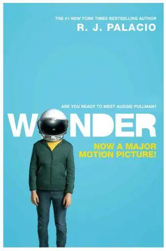 Wonder Book