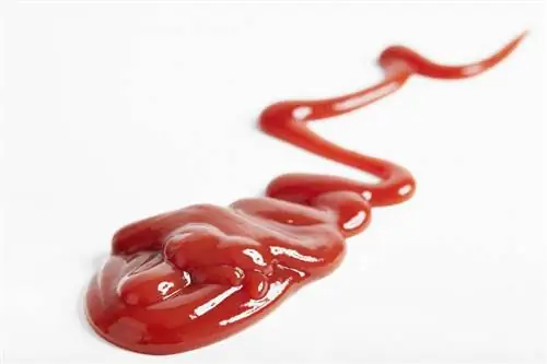 Ist Ketchup vegan? Ein Blick auf Zutaten und Marken