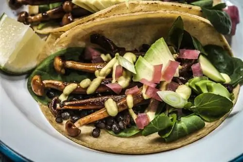 3 recepty na plnění veganských taco