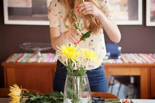 10 lyckliga blommor för lycka och välstånd