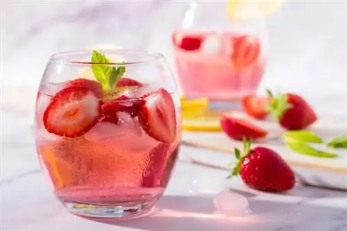 15 Red Cocktail -reseptiä (Manhattanista Bloody Maryyn)