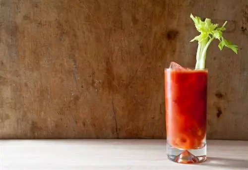 Receta bazë Bloody Mary: Një pije jashtëzakonisht e shijshme