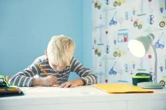 Jongen studeert aan zijn bureau