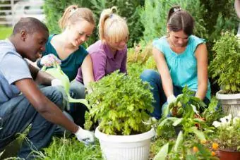 Amis adolescents jardinant