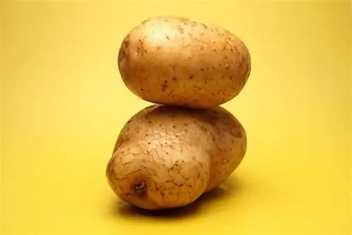 Способы приготовления картофеля
