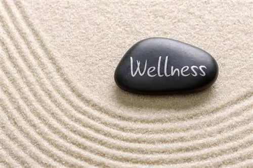 7 θεραπείες υγείας του Φενγκ Σούι που θα σας βοηθήσουν να νιώσετε καλύτερα σήμερα