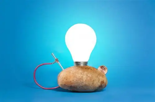 Kako napraviti bateriju od krompira