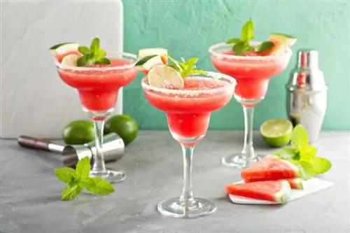 Frissítő fagyasztott görögdinnye Margarita recept