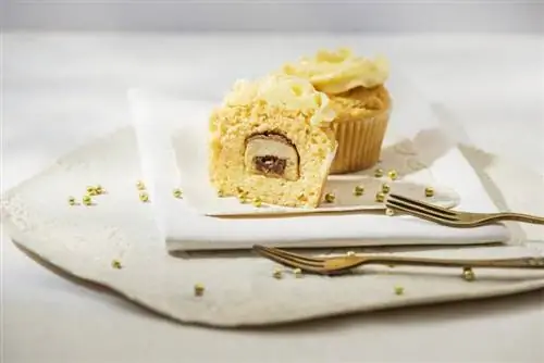 Cuocere come un professionista con 15 idee geniali per riempire cupcake