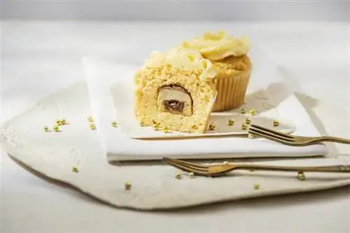 15 Dahi Cupcake Doldurma Fikriyle Bir Profesyonel Gibi Pişirme