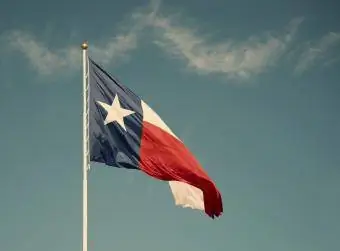 Statens flagg i Texas