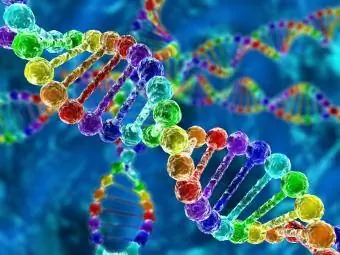 Gökkuşağı DNA'sı