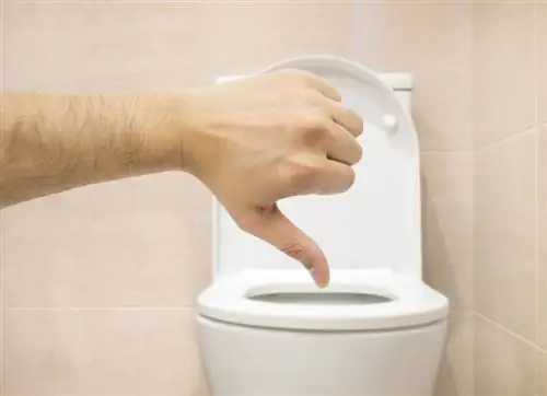 5 Alasan Mengapa Tidak Harus Menggunakan Sarung Dudukan Toilet