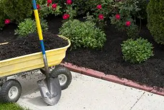 Compost mulch