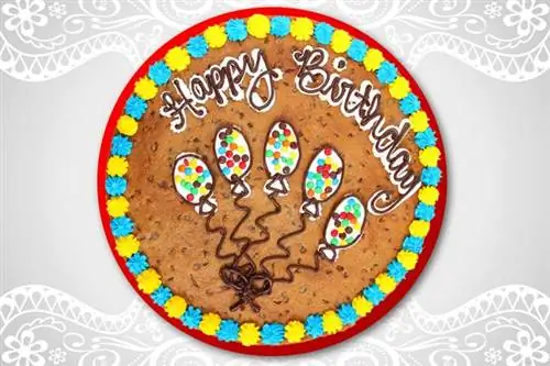 Chocolate Chip Cookie Cake Recipe