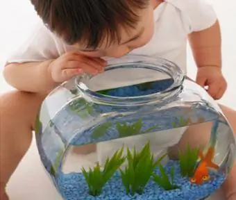 طفل يبحث في وعاء السمك