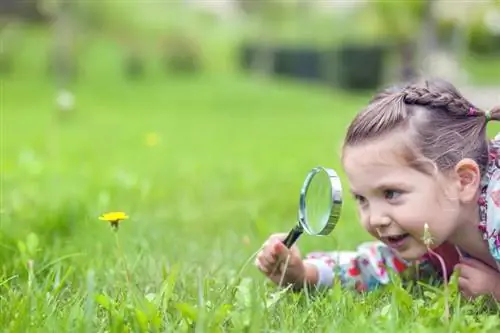 Unterh altsame und spannende wissenschaftliche Aktivitäten für Kleinkinder