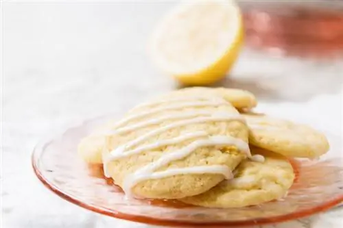 Dalawang Madali at Masarap na Lemon Cookie Recipe