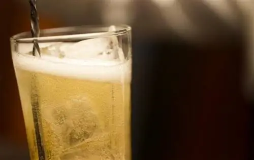 Rețete de băuturi Everclear: Preparați cocktailuri sigure și gustoase