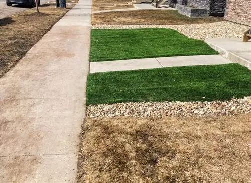 عندما يتحول لون حديقتك إلى اللون البني، هل سينمو العشب الميت مرة أخرى؟