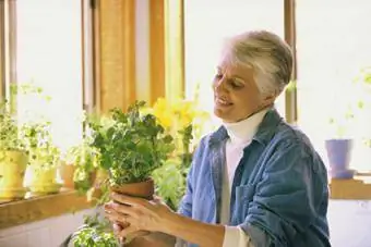 Frau hält eine Topfpflanze