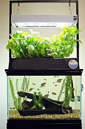 Bộ dụng cụ Aquaponics chu kỳ ECO với đèn tăng trưởng kép T5