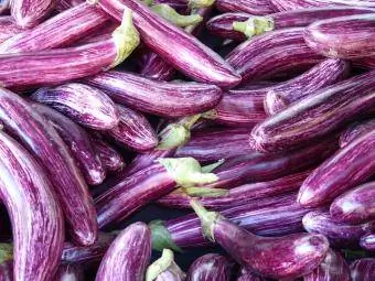 cultivar van aubergines