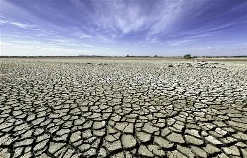 Wat is die belangrikste natuurlike en menslike oorsake van droogte?