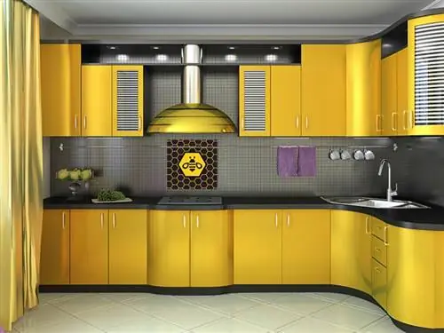 26 kamanių tematikos virtuvės dekoro idėjos, apie kurias verta kalbėti