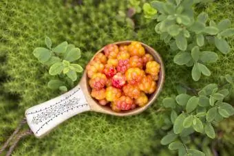 Buah cloudberry dalam sendok