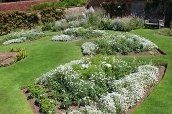Jardin lunaire aux fleurs blanches