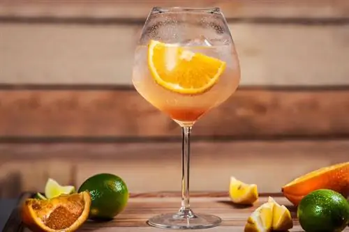 Bebidas Cointreau populares para experimentar hoje à noite