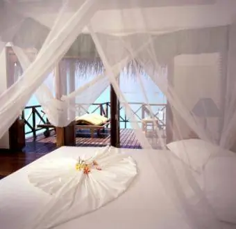 giường có màn chống muỗi