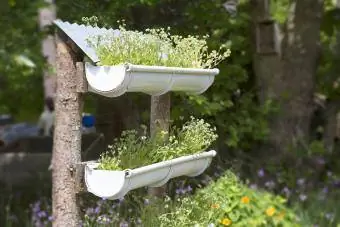 Gouttières recyclées utilisées pour cultiver un jardin vertical extérieur.