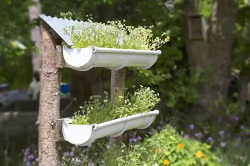 Idéias para jardins com calhas de chuva para aproveitar ao máximo qualquer espaço