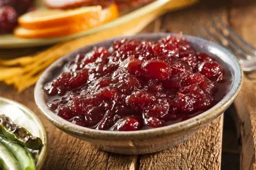 5 tolle Cranberry-Rezepte