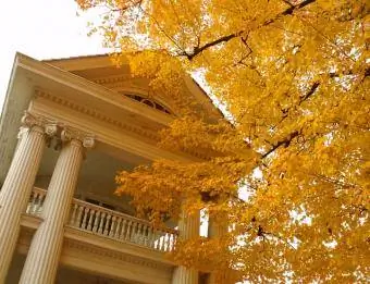 neoklasična palača s jesenjim lišćem