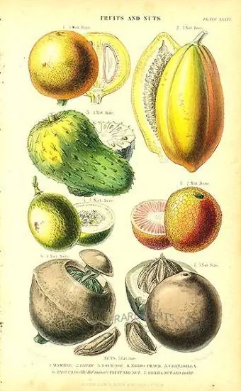 Fructe tropicale din Regatul Legume de William Rhind