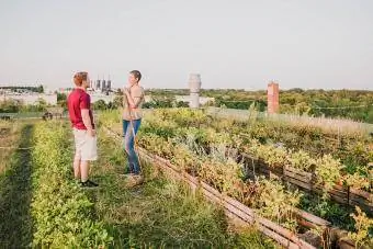 matatandang nagtatrabaho sa rooftop garden