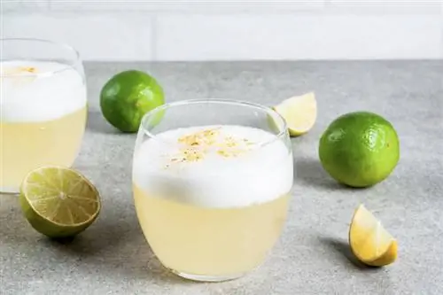 Pisco Sour-recepten voor een echte smaak van Peru