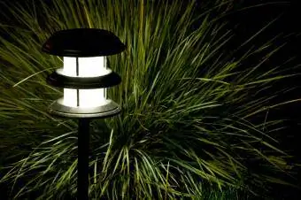 نورپردازی در فضای باز برای گیاه چمن